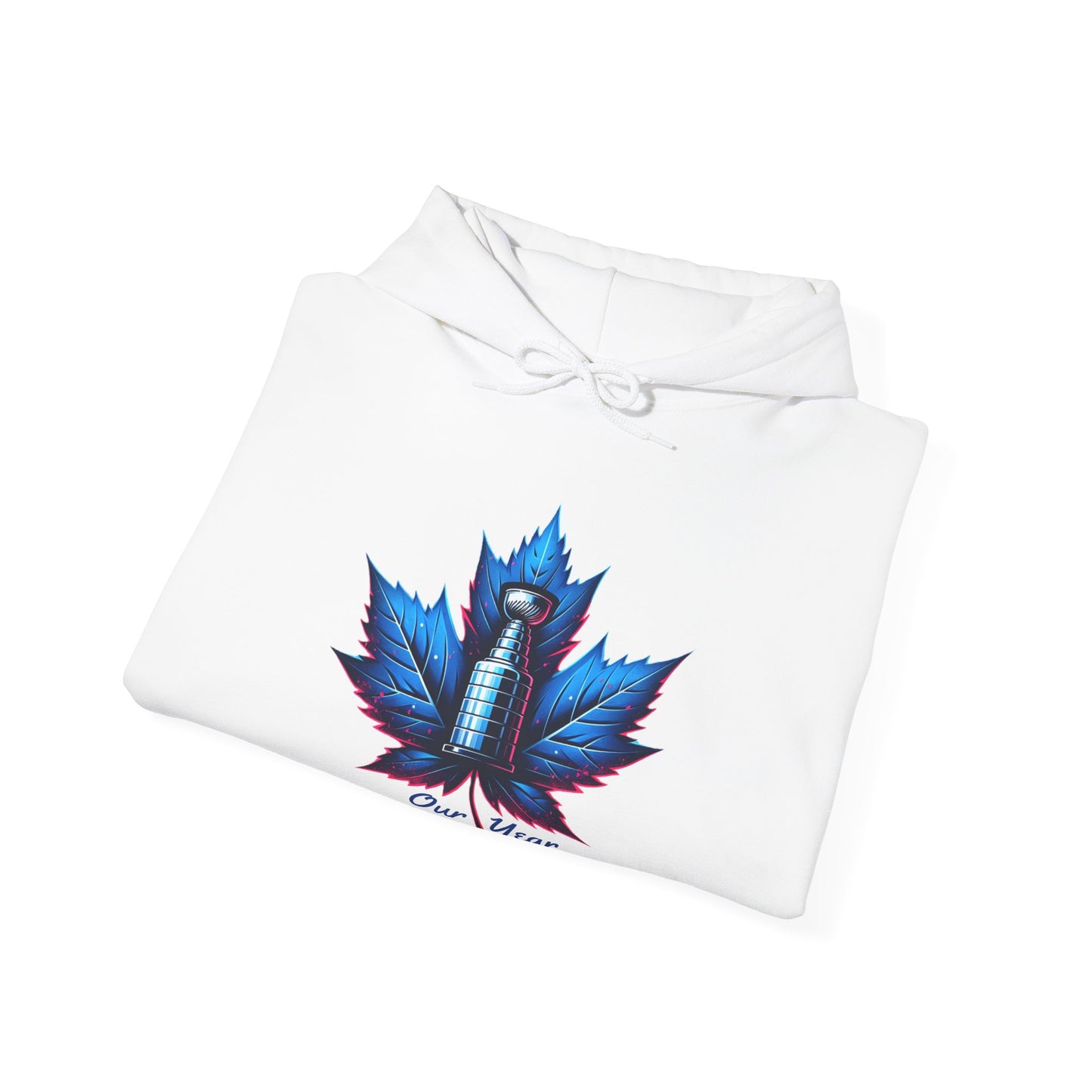 "Our Year Toronto" Hoodie